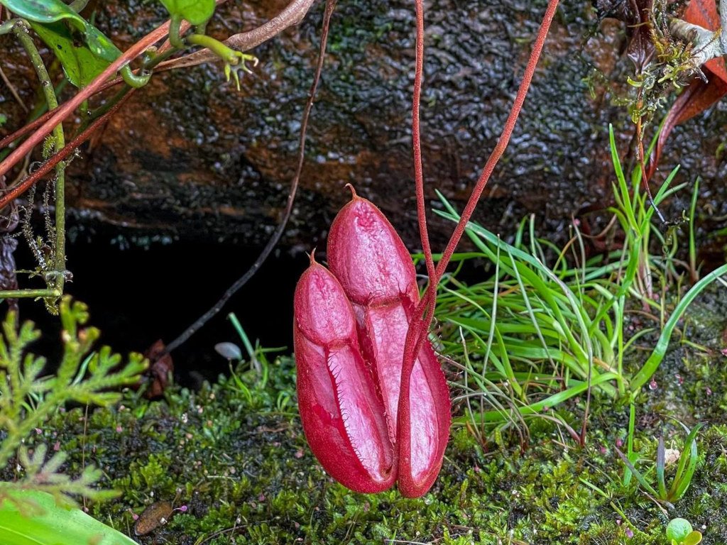 Cambodia Adventure Trekking Tours 16 Days